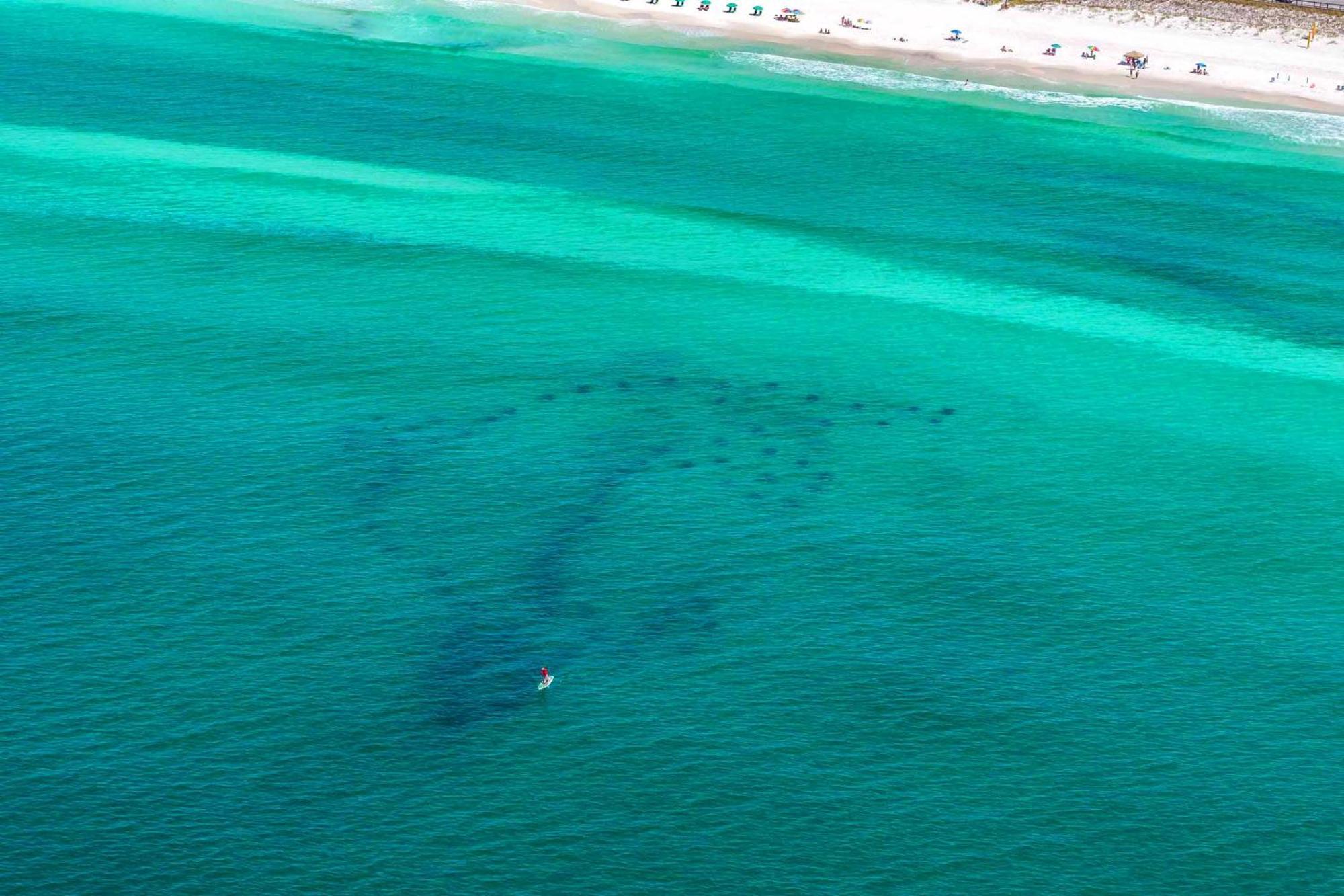 Beach Resort 316 Destin Bagian luar foto